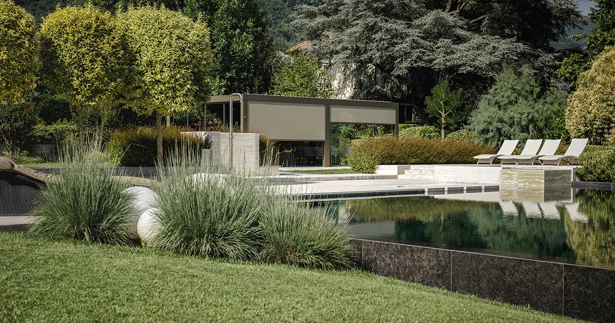 Immagine in evidenza